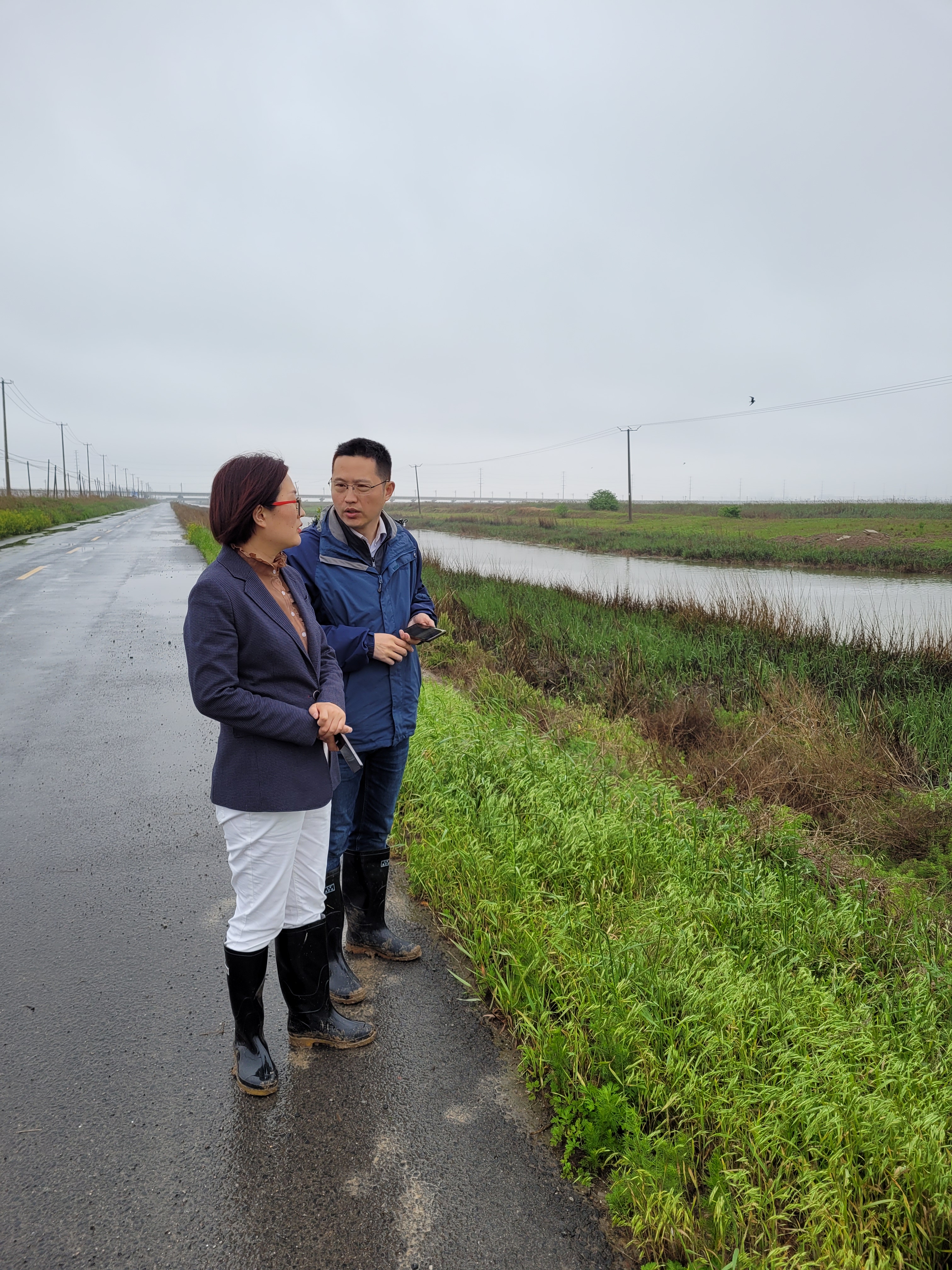 陪同徐圩街道党工委书记葛苗现场查看水环境问题排查治理情况。.jpg